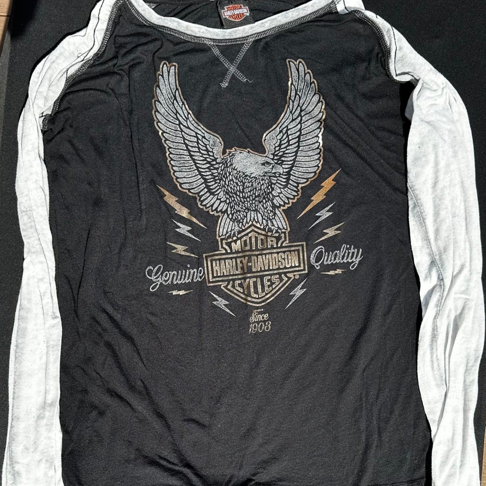 Harley-Davidson Faribault MN Eagle Graphic Raglan Long Sleeve Shirt Black Gray